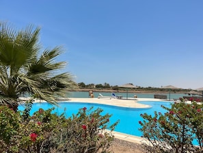 A clear blue pool with lounge chairs and a palm tree in the foreground. - 2BR Apartment in West Golf, El Gouna (Red Sea Governorate)