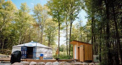 Traditional Mongolian Yurt- nestled in the forest