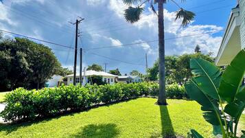 A residential area with a well-maintained lawn, a palm tree, and a row of bushes.