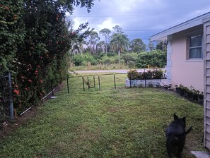 Un patio cercado con un perro, una casa y una carretera al fondo.