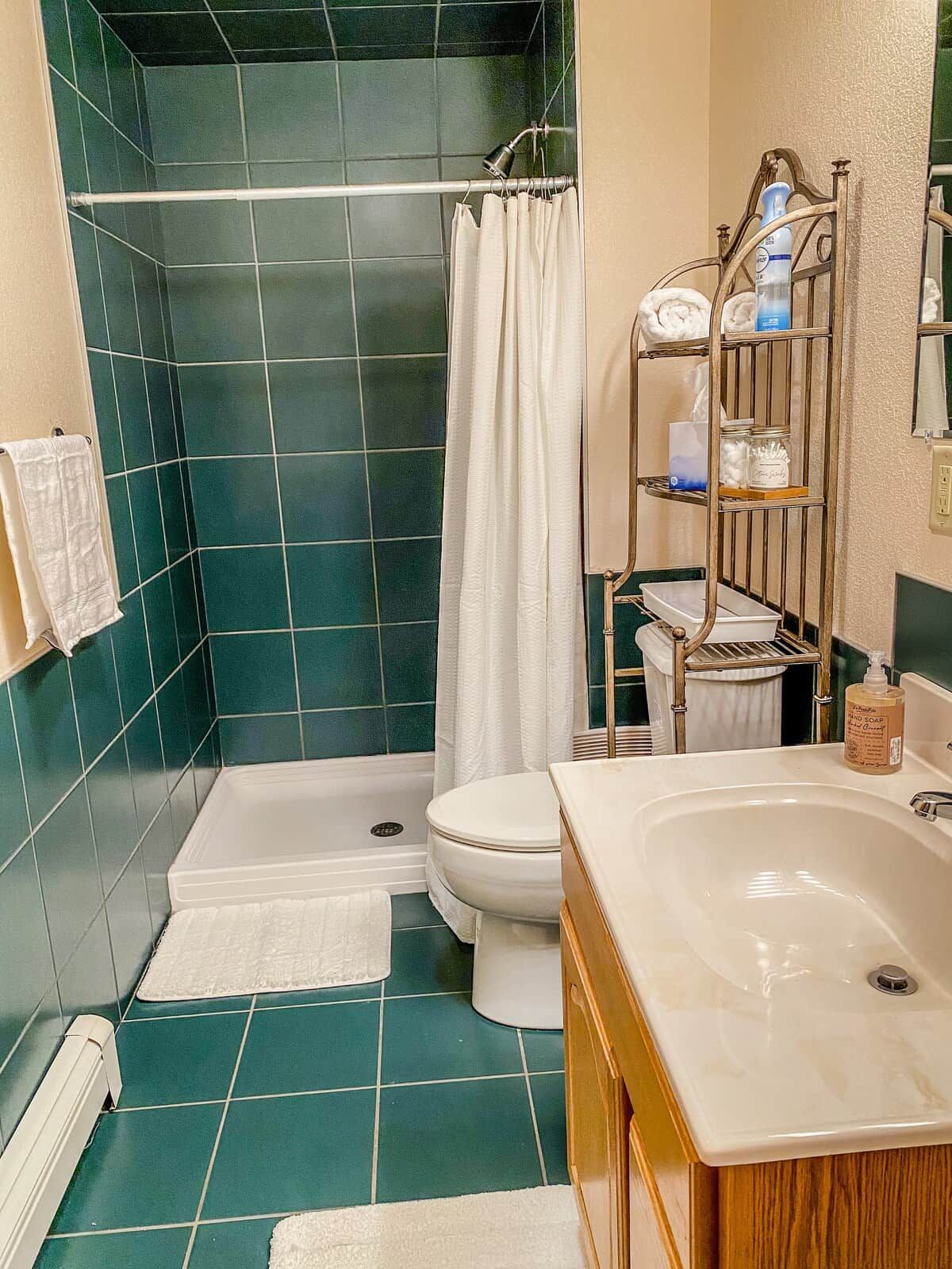Une salle de bain avec douche, toilettes et lavabo.