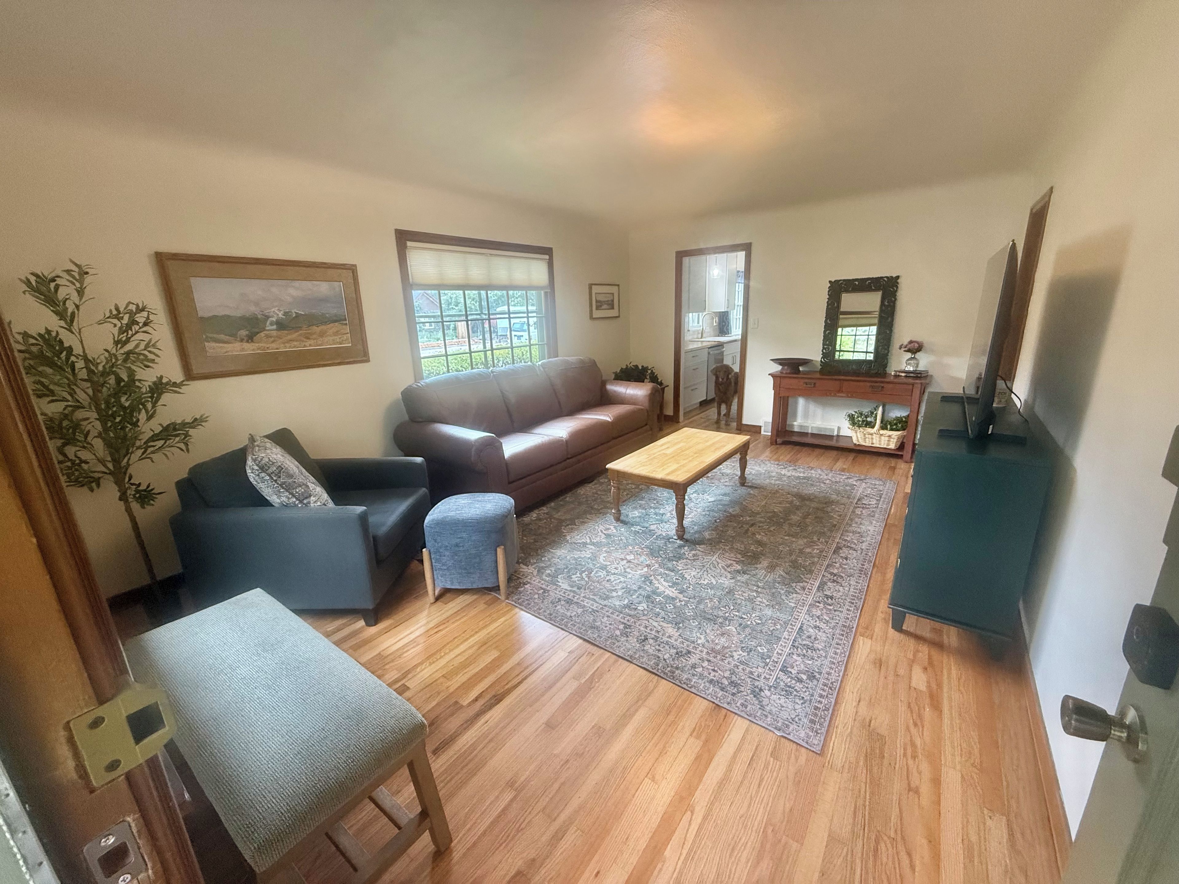 A living room with a brown leather sofa, a blue armchair, a wooden coffee table, and a patterned rug.