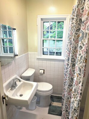 Bathroom - Charming 2-bedroom home, walkable to downtown Missoula (Missoula)