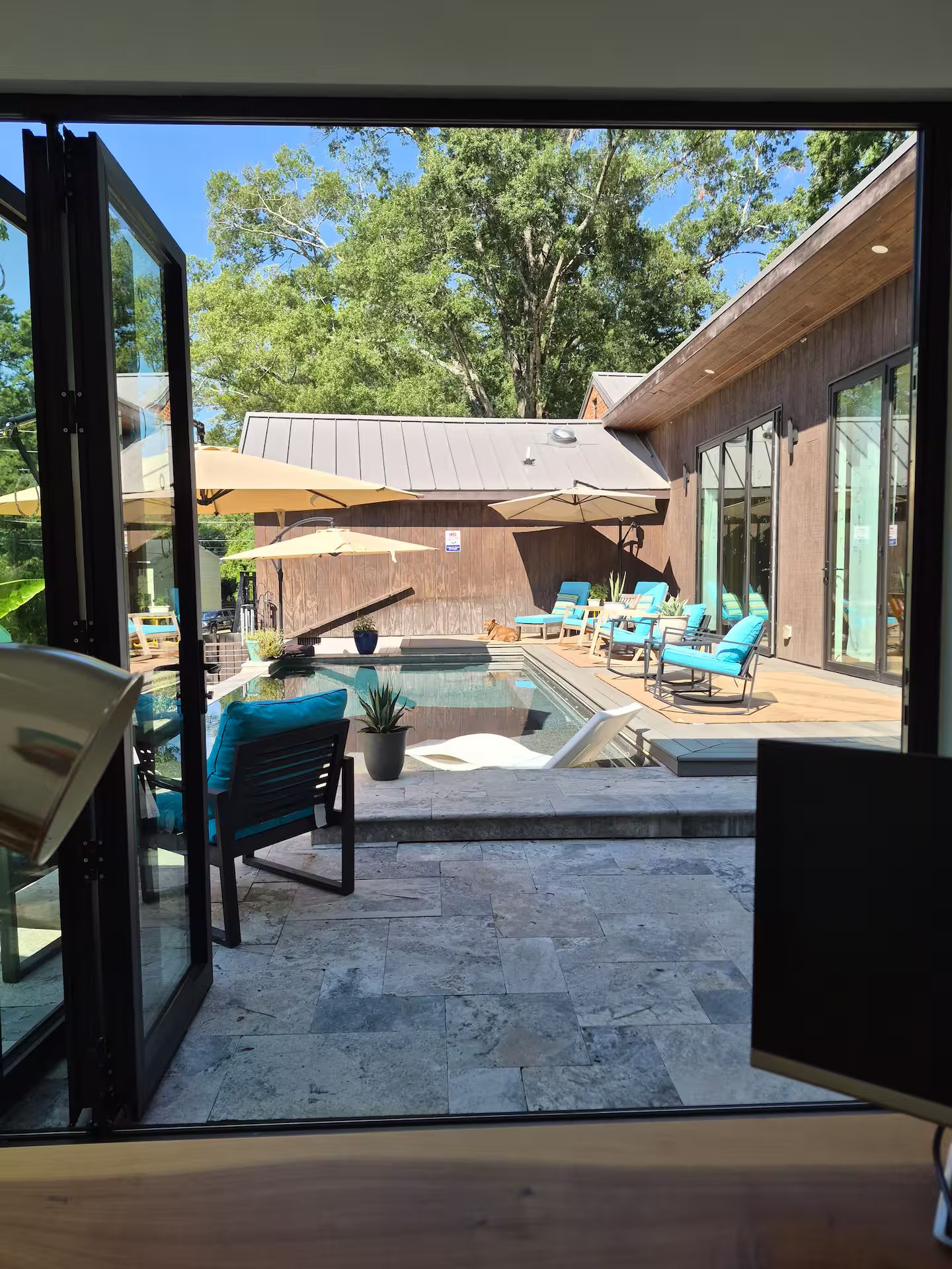 A modern outdoor pool area with lounge chairs and umbrellas, surrounded by a wooden deck and glass doors.