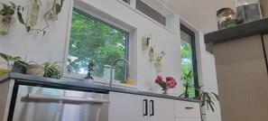 Una cocina con ventana, armarios y diversas plantas.