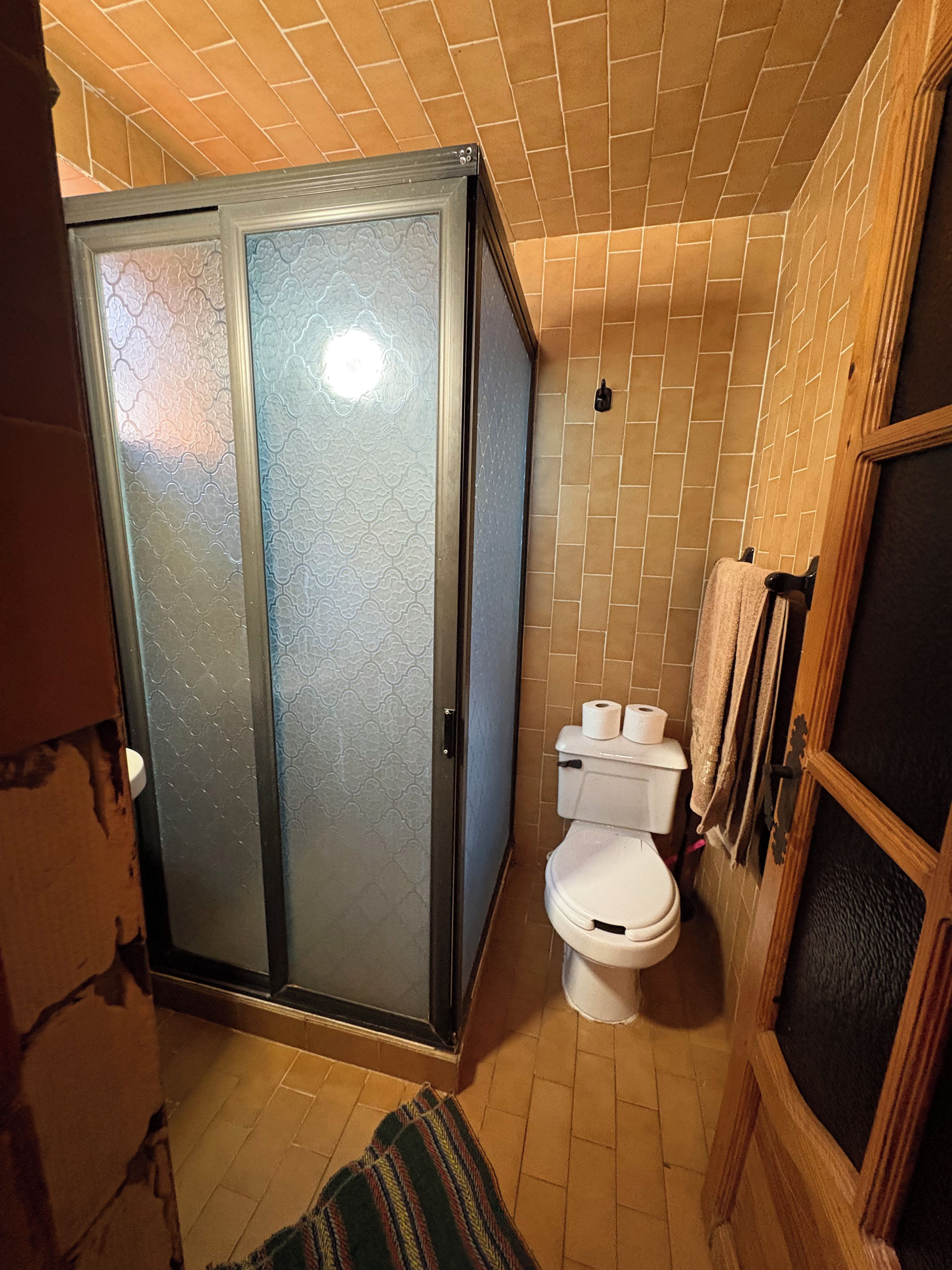 A bathroom with a shower enclosure, toilet, and towel rack.