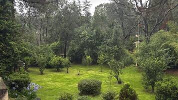 Un jardín exuberante con diversas especies de árboles y arbustos, un pequeño estanque y una terraza de madera.