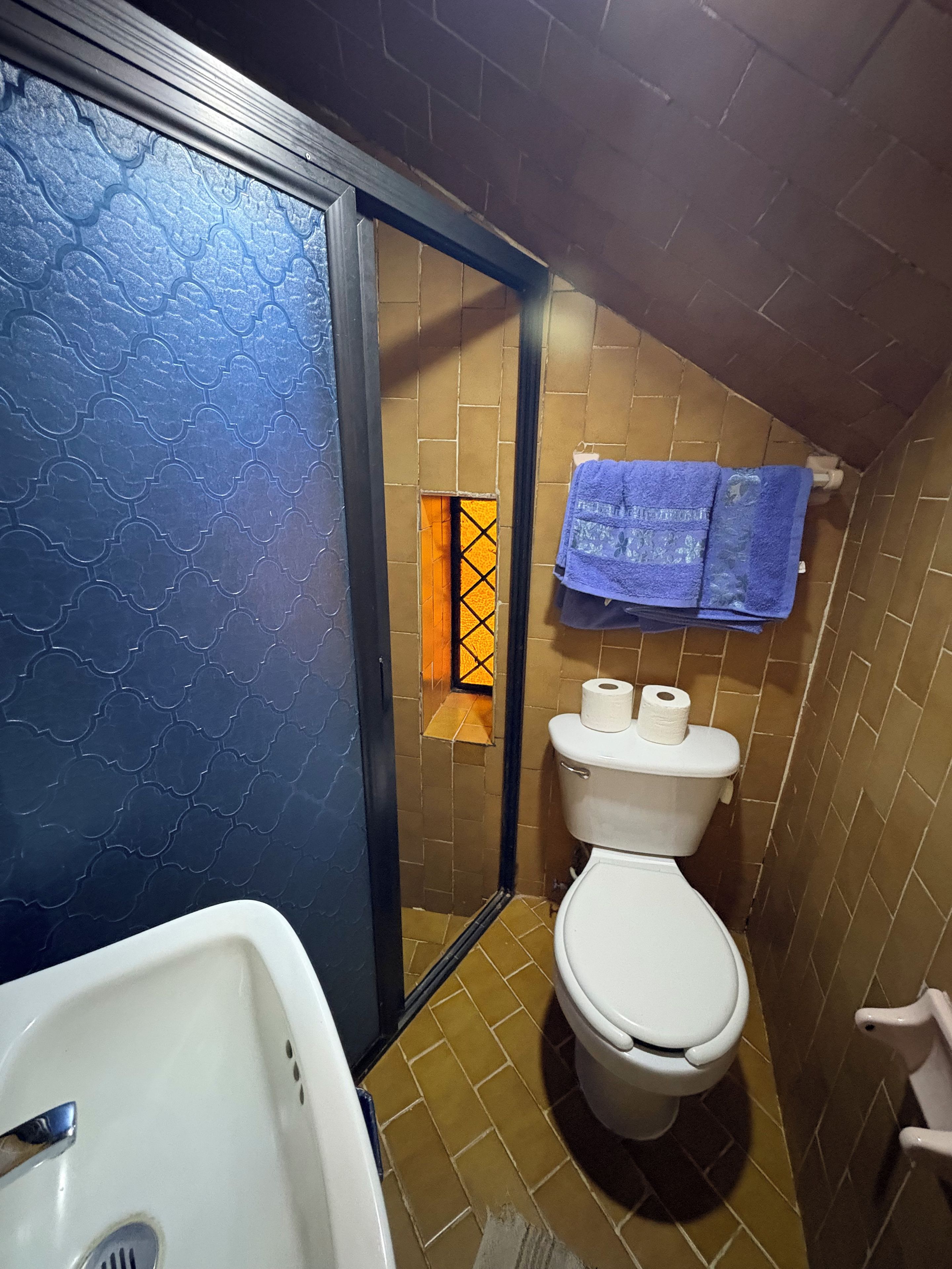A small bathroom with a toilet, sink, and shower area.