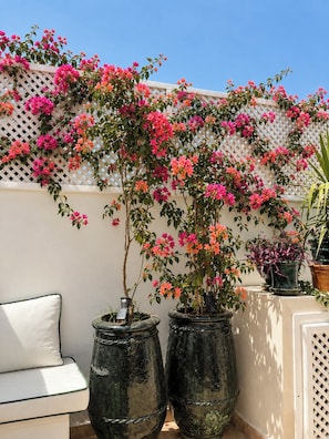 Un balcon avec un mur en treillis blanc, deux grands vases ornés de plantes et un banc blanc avec coussin.