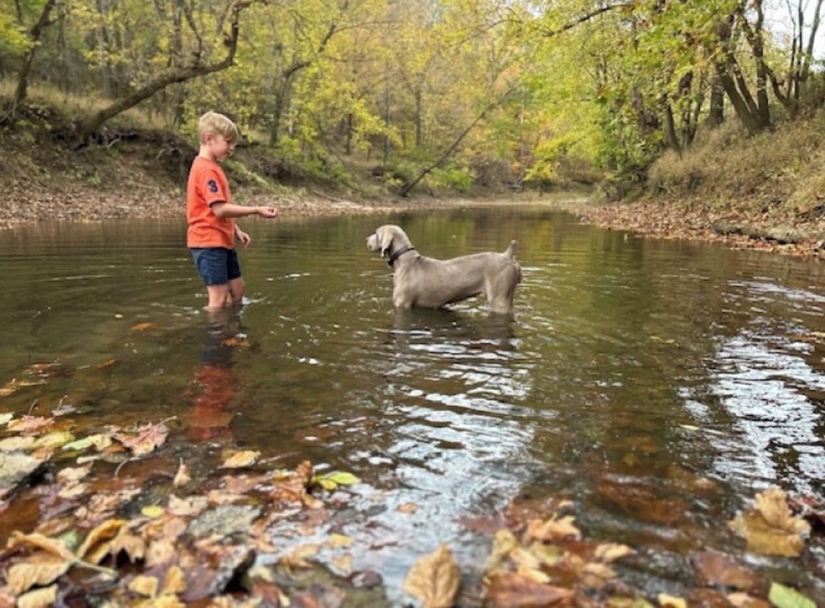 Iemand staat in een rivier met een hond.