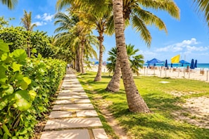 A pathway lined with palm trees leading to a beach with umbrellas and a flag. - Morros Park. Exclusive Beach & Nature Retreat (Bolívar)