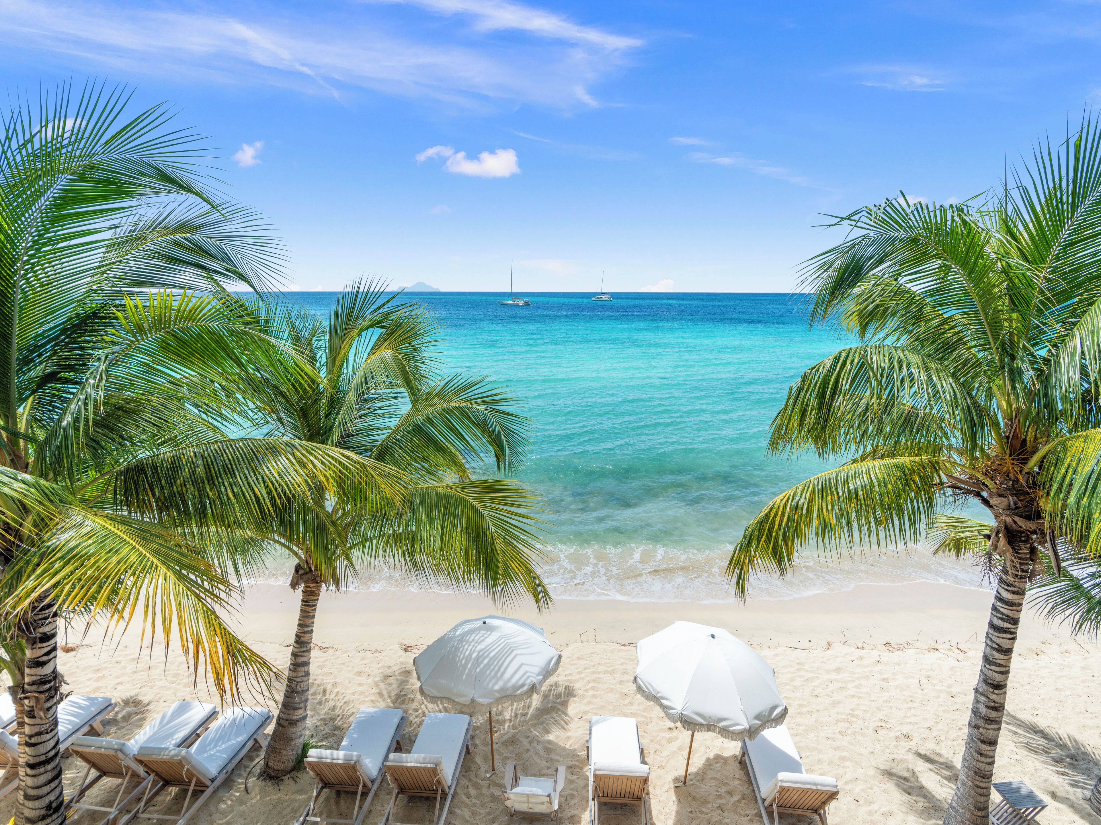 A beach with palm trees, lounge chairs, and a clear view of the ocean.