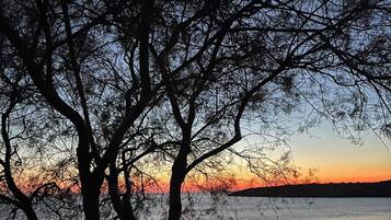A tree silhouetted against a sunset with a calm body of water in the foreground.