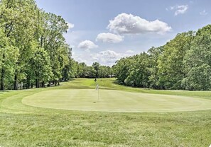 A golf course with a flagstick in the center, surrounded by trees and a clear sky.