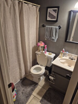 A bathroom with a toilet, sink, and shower curtain. - Serene 1-bedroom house with AC in Tulsa perfect for relaxing (Tulsa)