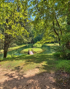 A serene park with a pond, a wooden bridge, and a bench. - The Reel Escape (Dahlonega)