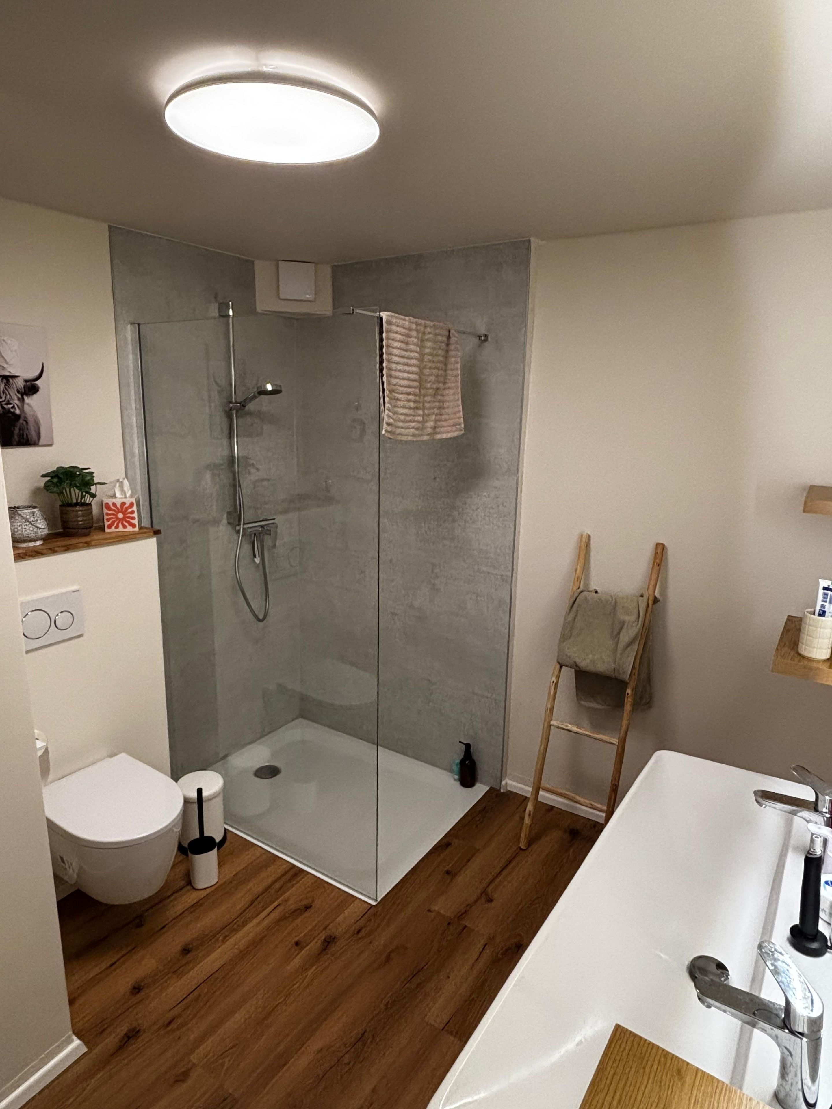 A modern bathroom with a glass-enclosed shower, a white toilet, and a wooden floor.
