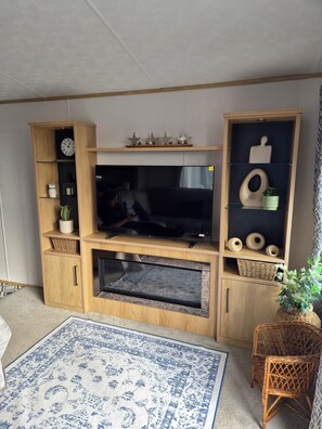 A living room with a large flat-screen TV, wooden shelving with decorative items, a fireplace, and a patterned rug.