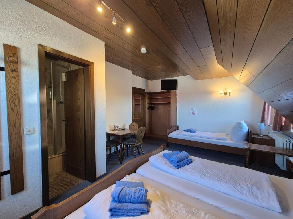 A hotel room with two beds, a shower, a desk, and a television.