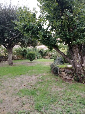A garden with a large tree, a stone wall, and a grassy area. - Charm and tranquility near Futuroscope and Chauvigny (Bonnes)