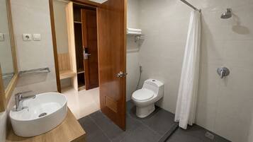 A bathroom with a sink, toilet, shower, and a wooden door leading to a closet.