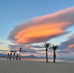 Une plage bordée de palmiers, avec une montagne en arrière-plan.