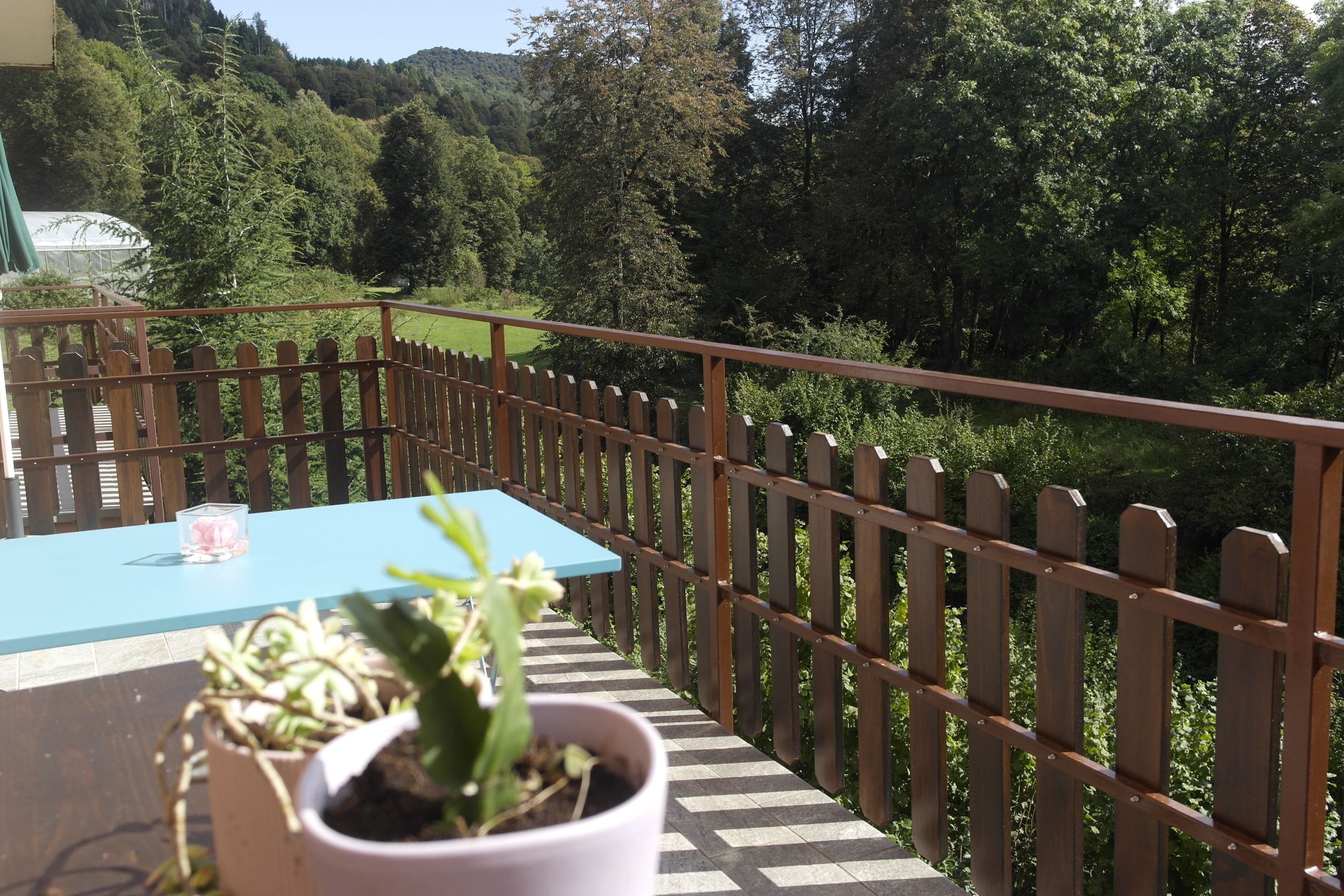 A balcony with a table and potted plants, overlooking a forested area.