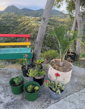 Un banc offrant une vue sur un paysage montagneux.