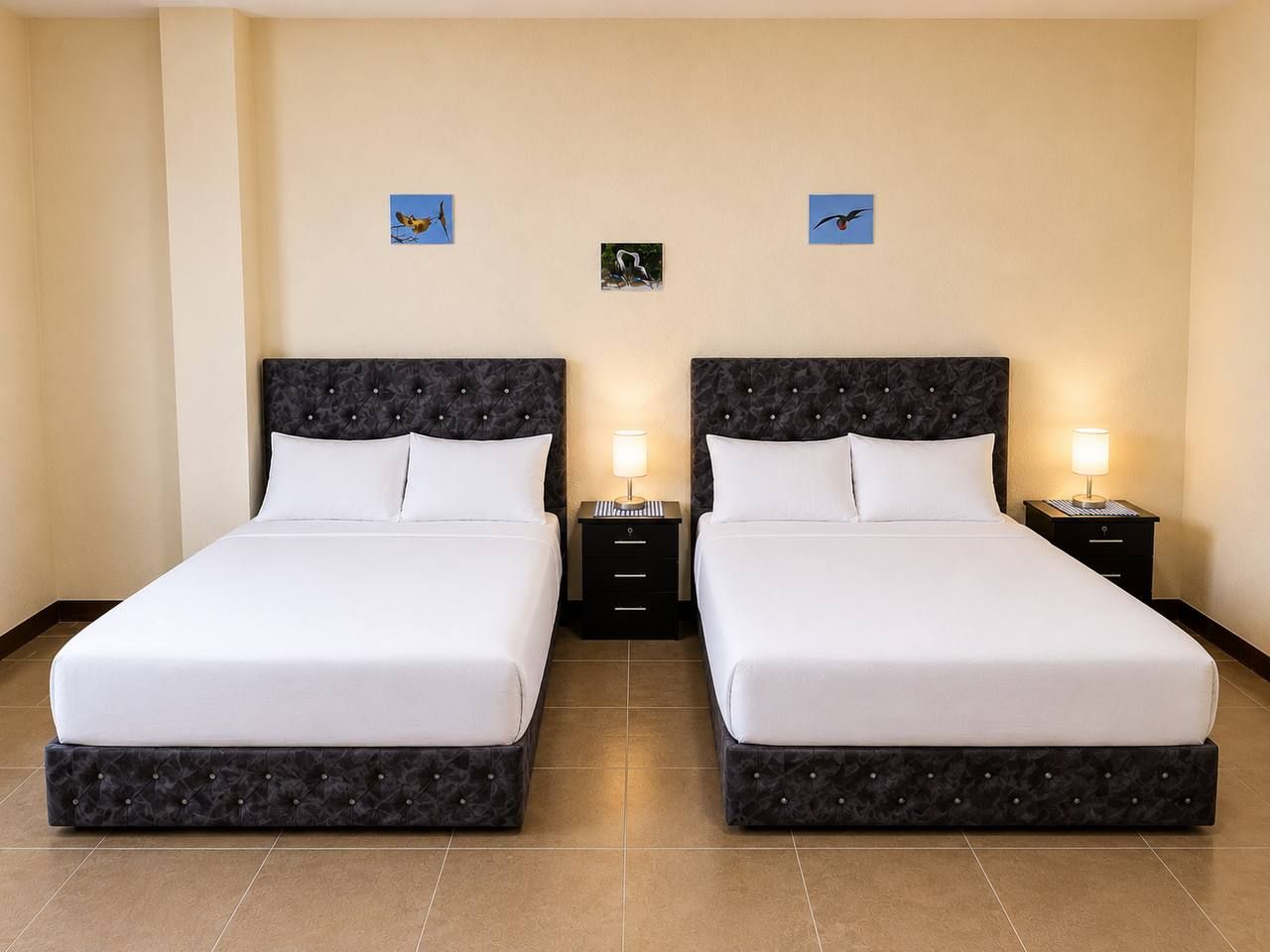 A double bed room with two nightstands, each with a lamp, and two wall-mounted bird pictures.