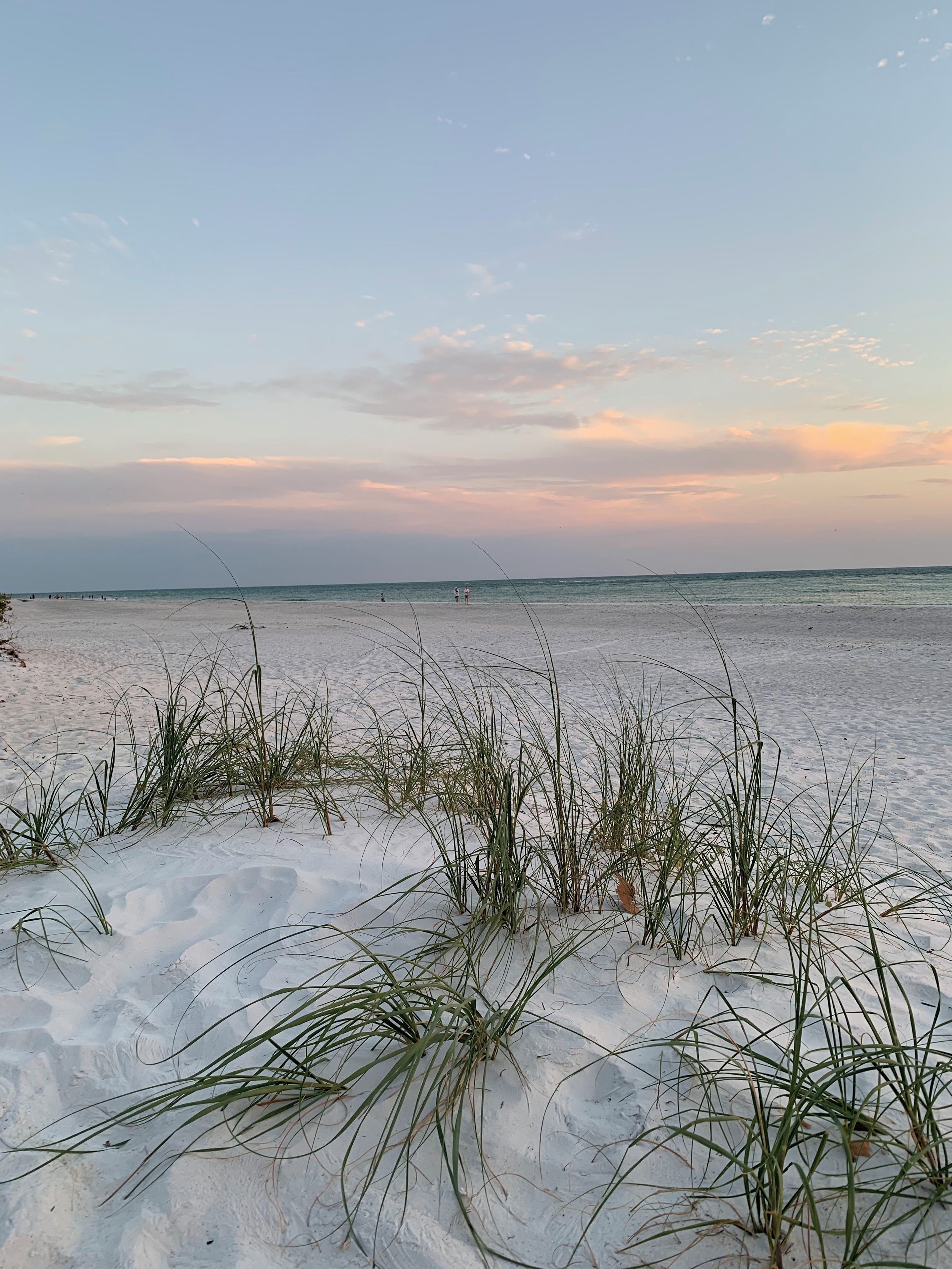 Een strand met zand en weinig begroeiing.