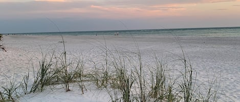 Een strand met zand en weinig begroeiing.