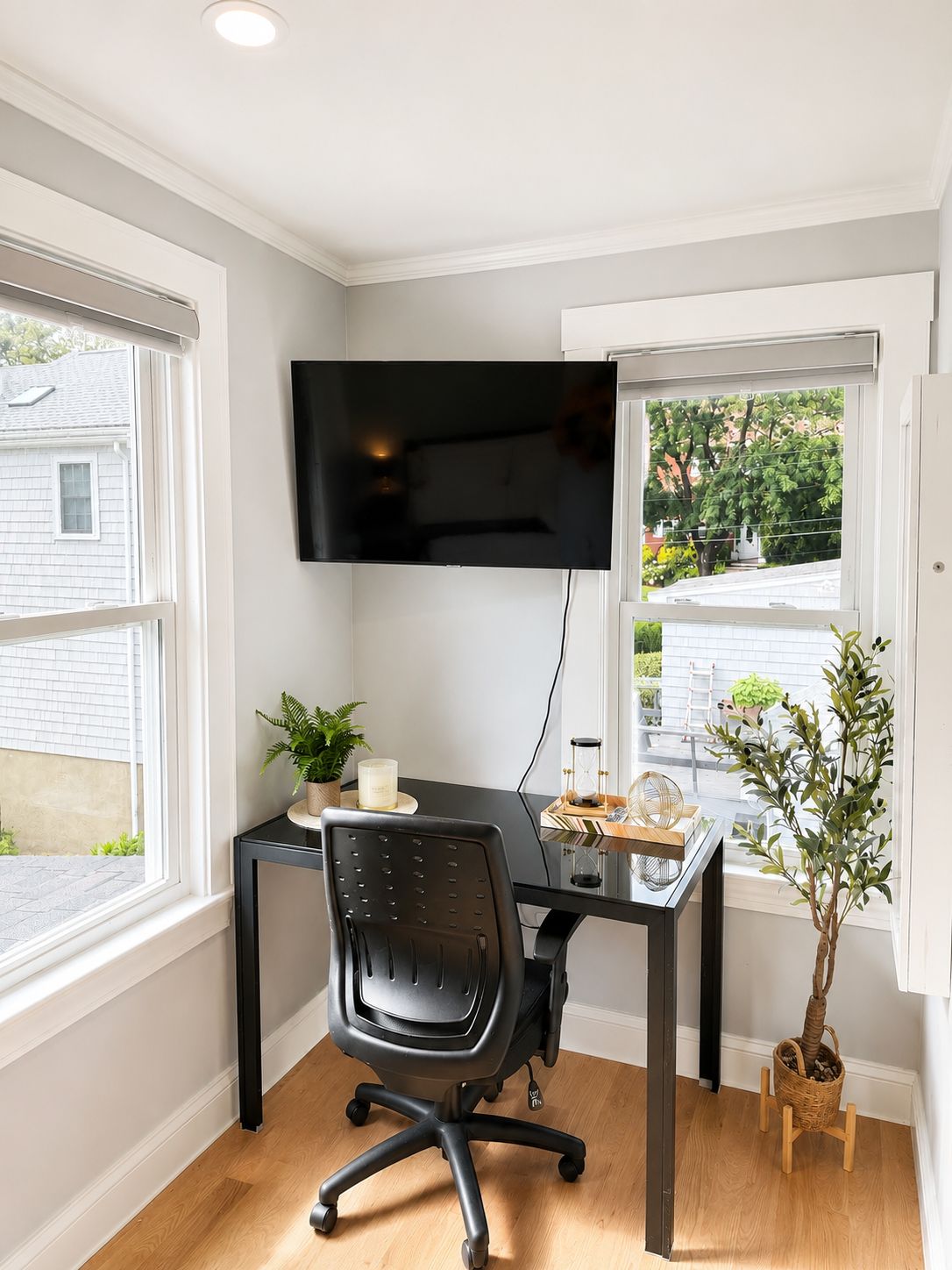 A modern home office with a desk, chair, TV, and potted plants.
