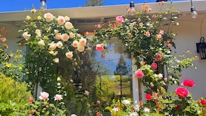 A garden with a variety of roses in full bloom, a clear blue sky, and a building with a white facade.