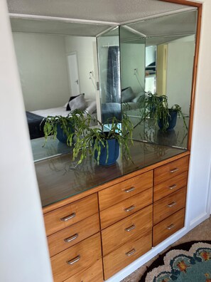 A bedroom with a wooden dresser, a large mirror, and two potted plants.