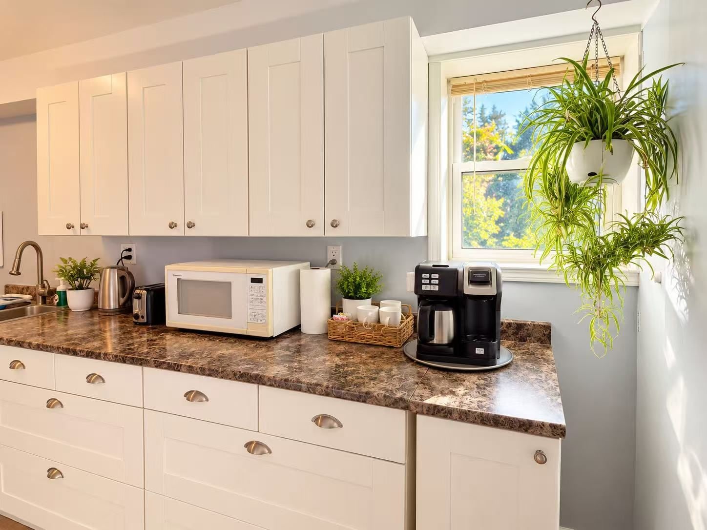 A kitchen with white cabinets, a microwave, a coffee maker, and a window with a plant.