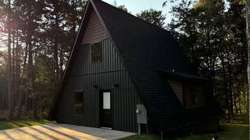 A modern, dark-colored cabin with a sloped roof, surrounded by trees.