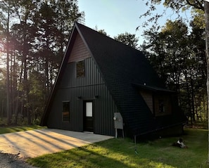 A modern, dark-colored cabin with a sloped roof, surrounded by trees.