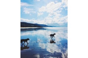 Beach - Light & Contemporary (Lorne)