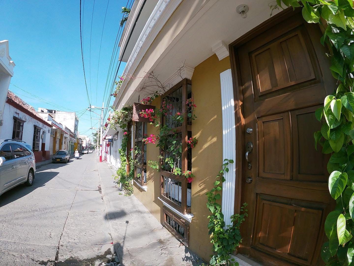 A narrow street with buildings on either side, a wooden door, and a plant on the right.