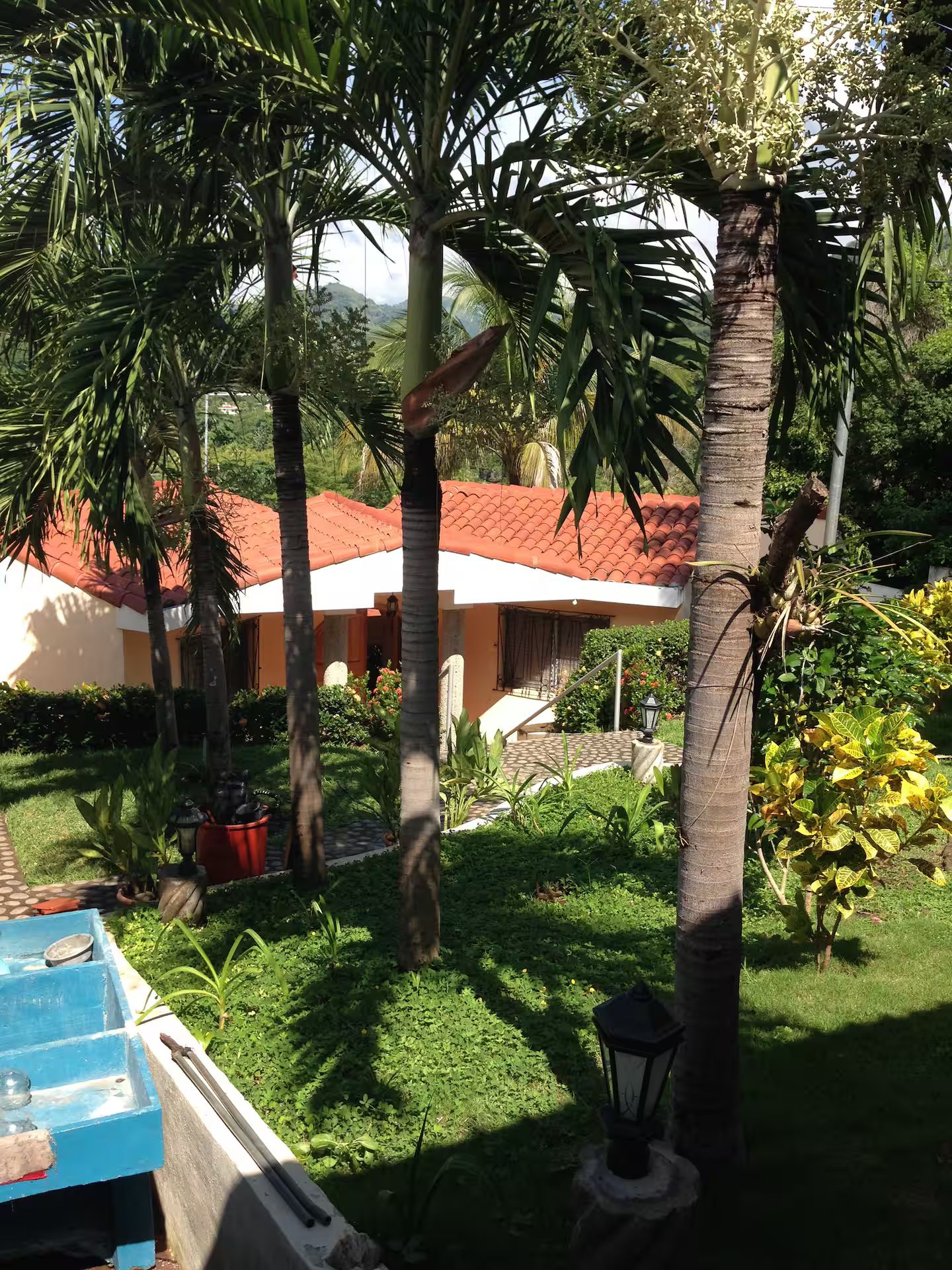 A garden with palm trees, a red-roofed building, and a blue water feature.