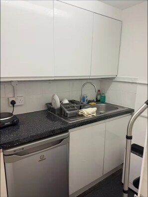 Image 5 - Large Apartment Sleeps 6 with Private Entrance (London)