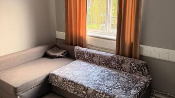 Una stanza con un divano letto, una finestra con tende e un termosifone.