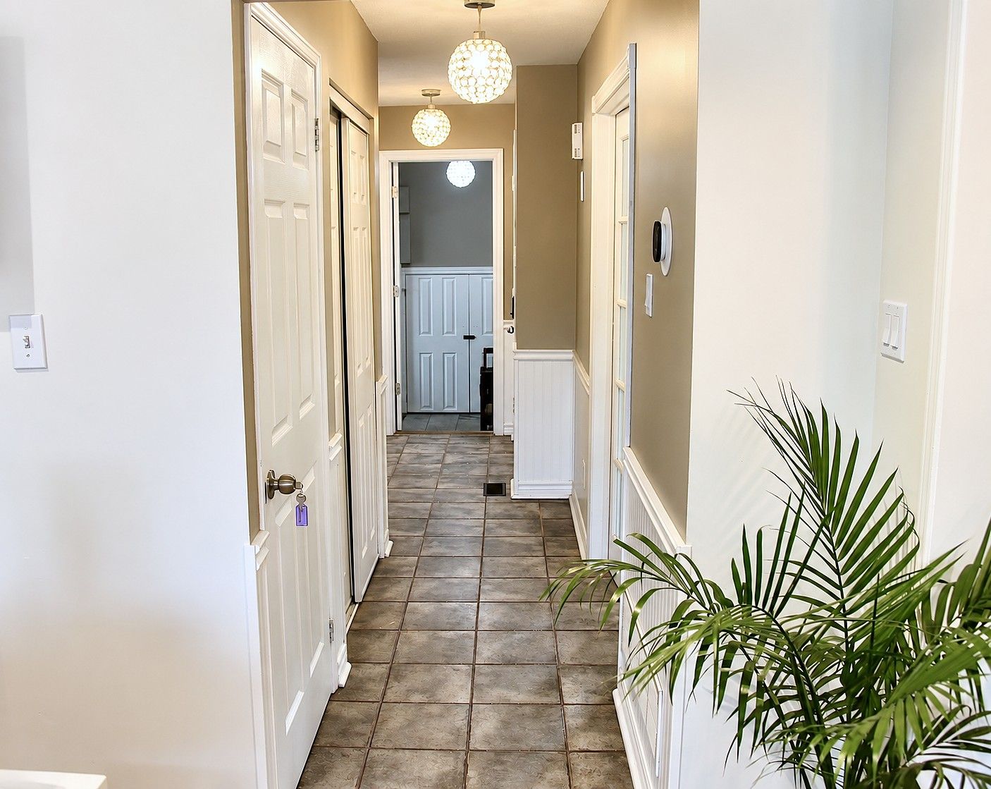 A hallway with white doors, a potted plant, and a light fixture.