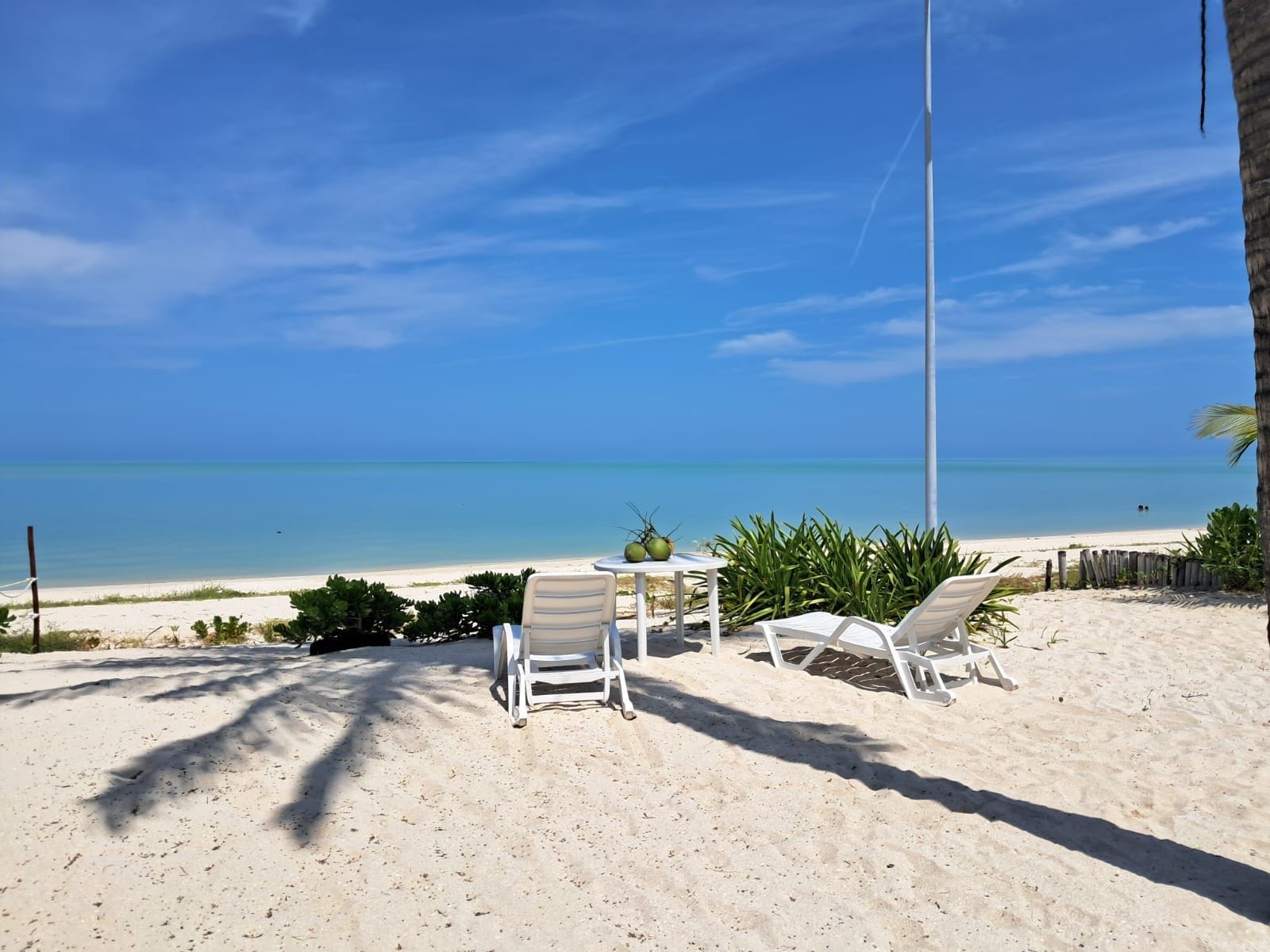 Una playa con sillas reclinables blancas, una mesa con cocos y una vista despejada del océano.