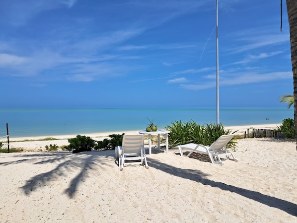 A beach with white lounge chairs, a table with coconuts, and a clear view of the ocean.
