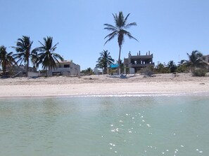Ein Strand mit klarem Wasser, Palmen und Gebäuden im Hintergrund.