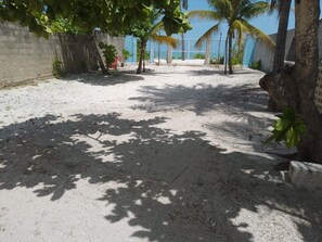 Un chemin pavé bordé d’arbres dont les ombres s’allongent, un mur en béton et une clôture en arrière-plan.