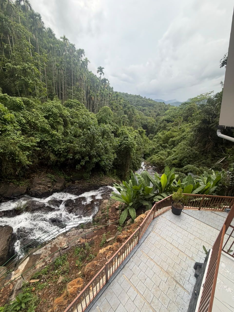Un balcón con vistas a un arroyo rocoso y un bosque denso.