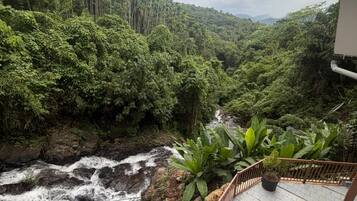 Un balcón con vistas a un arroyo rocoso y un bosque denso.