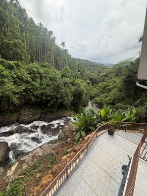 A balcony with a view of a rocky stream and dense forest.